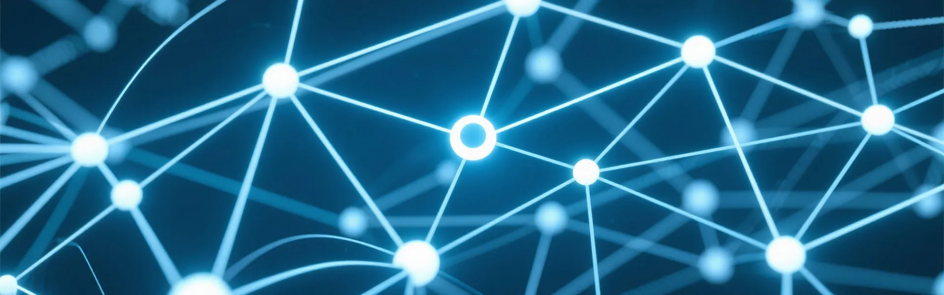 Support Network Background